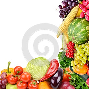 Frame of set vegetables and fruits on white background. Free space for text