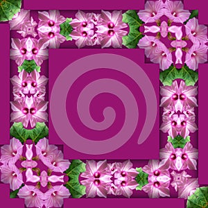 frame of small pink flowers on purple magenta background, delicate background with magenta flowers, outline of small flowers