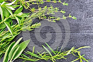 Frame of spicy herbs on black wooden board