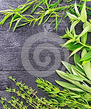 Frame of spicy herbs on wooden table