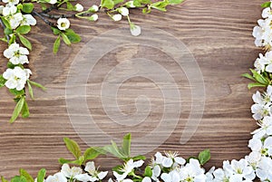 Frame of spring flowers on a wooden background