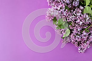 frame of spring lilac twigs on a purple background. top view. place for text.
