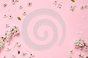 Frame of spring tree blossoms on pink background, flat lay. Space for text