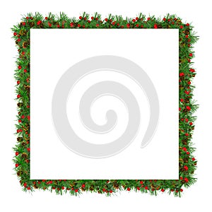 Frame of spruce branches with cones, white background