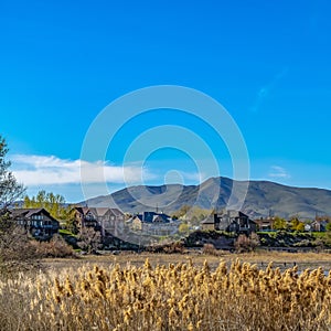 Frame Square Lovely houses in front of a lake with brown grasses growing on the shore