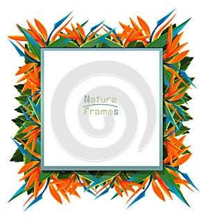 Frame template with bird of paradise flowers