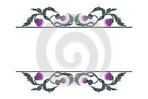 Frame for text with linear horizontal pattern of Scottish flower thistle on white.