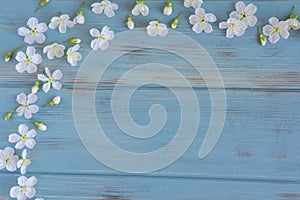 Frame for text with a texture of blue wooden boards with beautiful white spring flowers on the edge. Background with flowers for