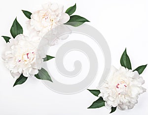 Frame of three white peony flowers and leaves on white background. Top view with copy space.