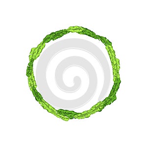 Frame of tree branches, vector graphics. Beautiful frames