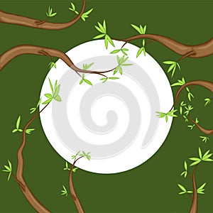 Frame of tree branches, vector graphics. Beautiful frames