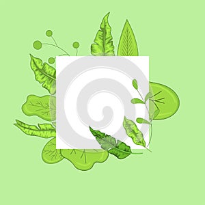 Frame of tree branches, vector graphics. Beautiful frames