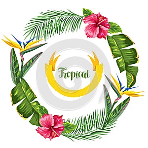 Frame with tropical leaves and flowers. Palms branches, bird of paradise flower, hibiscus