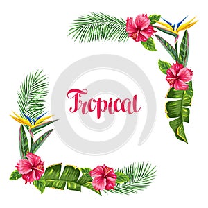 Frame with tropical leaves and flowers. Palms branches, bird of paradise flower, hibiscus