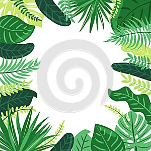 Frame of tropical leaves. Illustration with foliage of exotic jungle plants. Jungle style.