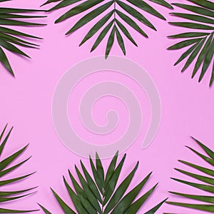 Frame of tropical palm leaves on pastel pink background. Flat lay, top view, copy space. Summer background, nature. Creative