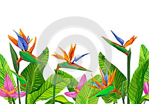 Frame with tropical plants and flowers. Template with bird of paradise flowers on white background