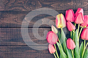 Frame of tulips on dark rustic wooden background. Spring flowers