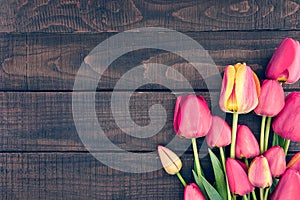 Frame of tulips on dark rustic wooden background. Spring flowers photo