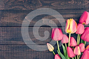 Frame of tulips on dark rustic wooden background. Spring flowers