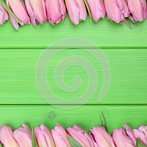 Frame from tulips flowers in spring or mothers day