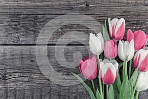 Frame of tulips on rustic wooden background with copy space for