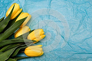 Frame of tulips on turquoise background. Spring flowers. Greeting card for Valentine`s Day, Woman`s Day and Mother`s Day. Top v