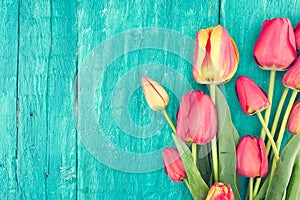 Frame of tulips on turquoise rustic wooden background. Spring fl