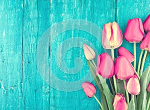 Frame of tulips on turquoise rustic wooden background. Spring fl