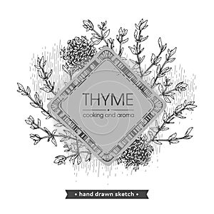 Frame with twig of thyme with leaves