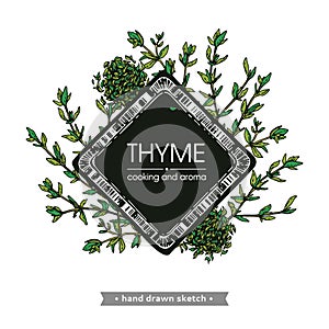 Frame with twig of thyme with leaves