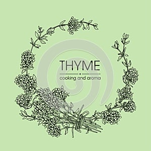 Frame with twig of thyme with leaves and flowers