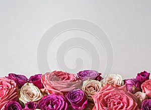 Frame of various fresh pink roses. mixed rose bouquet for a wedding. Copy space. Top view