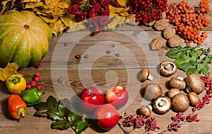 Frame from vegetables, nuts, berries and fruits