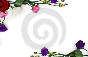 Frame of violet, white, pink and red flowers Eustoma  Texas bluebells, bluebell, lisianthus, prairie gentian  and red rose