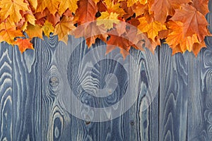 Frame from vivid colorful autumn leaves on the grunge wooden cyan desk, vintage seasonal background