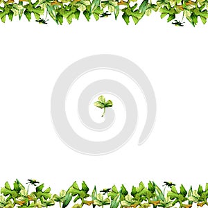 Frame of watercolor green grass and flowers of petals and blades of clover isolated on white background drawing