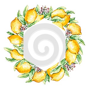 Frame with watercolor lemon branches and flowers. Hand drawn illustration is isolated on white. Geometrical border