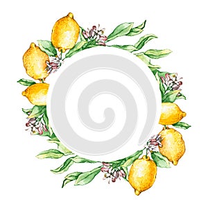 Frame with watercolor lemon branches and flowers. Hand drawn illustration is isolated on white. Round border