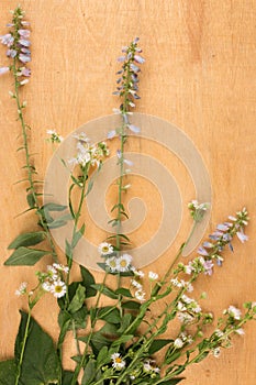 Frame of wild flowers lying on a light wooden surface.