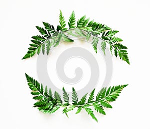 Frame wreath with green leaves