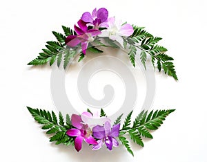 Frame wreath with orchids flower and green leaves