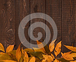Frame from yellow autumn leaves with copy space for text on rustic wooden background. Thanksgiving Day backdrop. Fall concept.