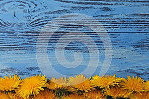 Frame yellow flowers