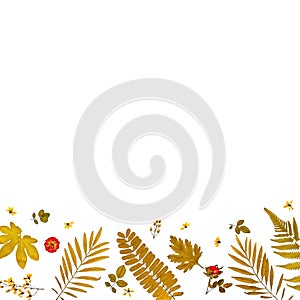 Frame from yellow leaves and dry leaves and flower on white background