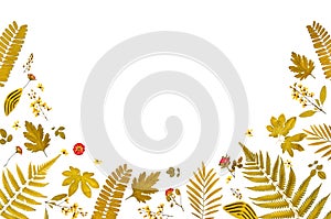 Frame from yellow leaves and dry leaves and flower on white background