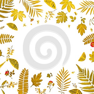 Frame from yellow leaves and dry leaves and flower on white background