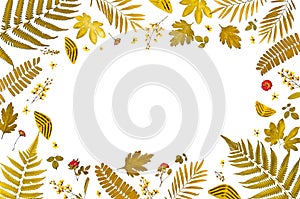 Frame from yellow leaves and dry leaves and flower on white background