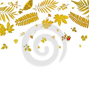 Frame from yellow leaves and dry leaves and flower on white background