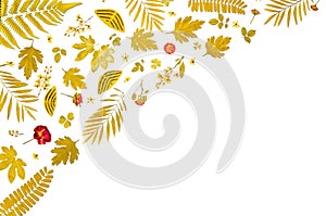 Frame from yellow leaves and dry leaves and flower on white background